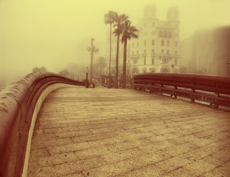 Niebla.