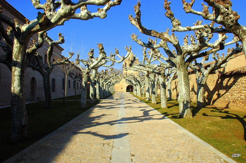 Un largo paseo hasta la entrada