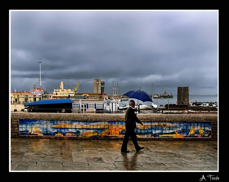 Paseo las palmeras