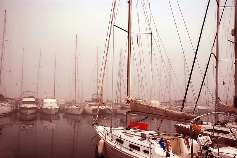 Niebla-Norte de frica