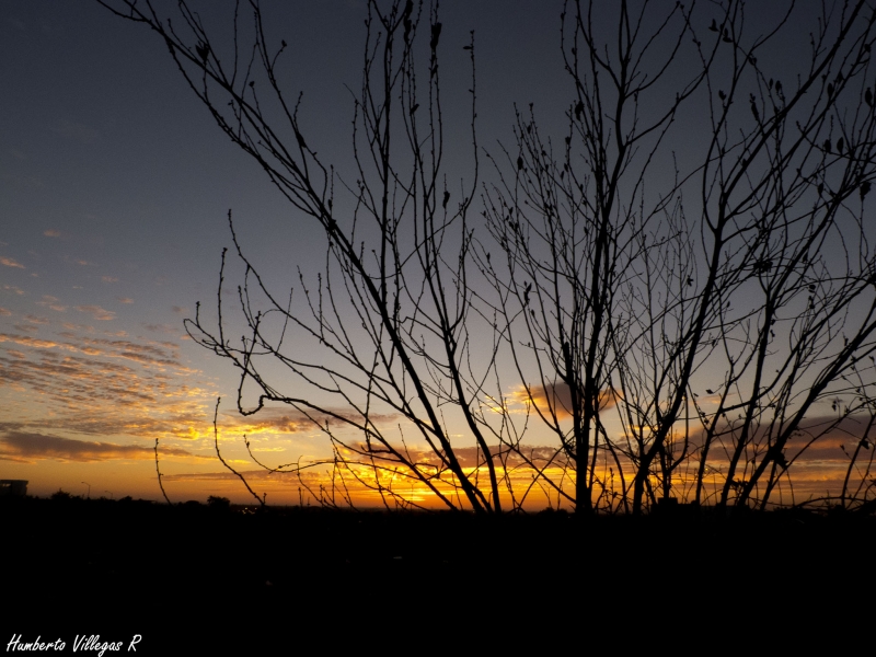 Atardecer en Culiacn