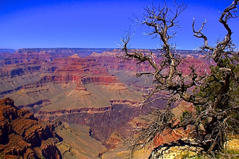 CAON DEL COLORADO