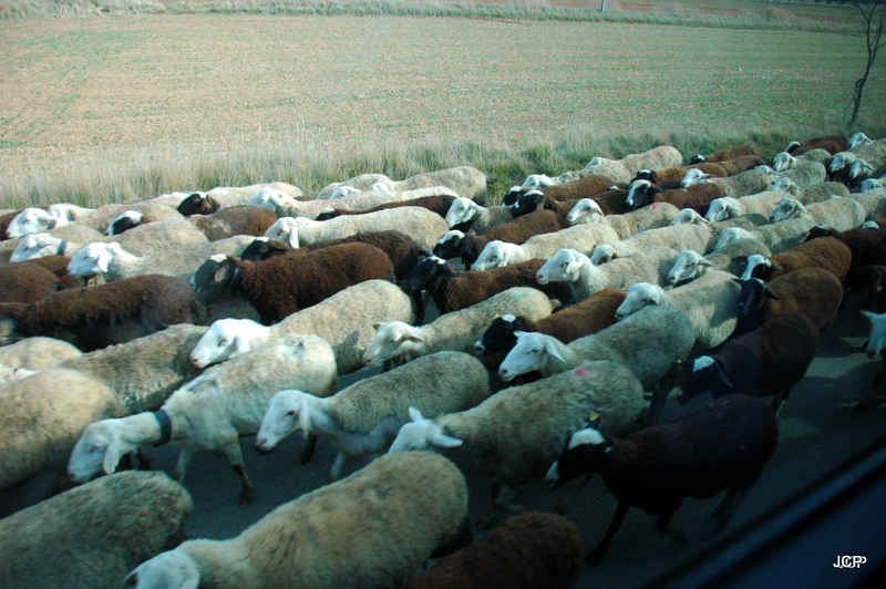 Encuenttro en la carretera