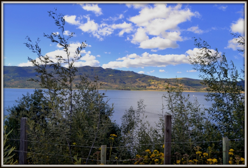 EMBALSE TOMINE