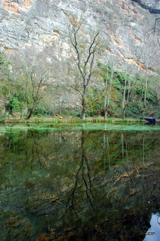 Reflejos 2