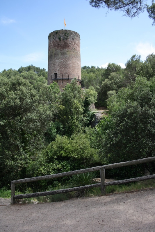 FALS. FONOLLOSA. BAGES. CATALUNYA.  EL FORAT NEGRE