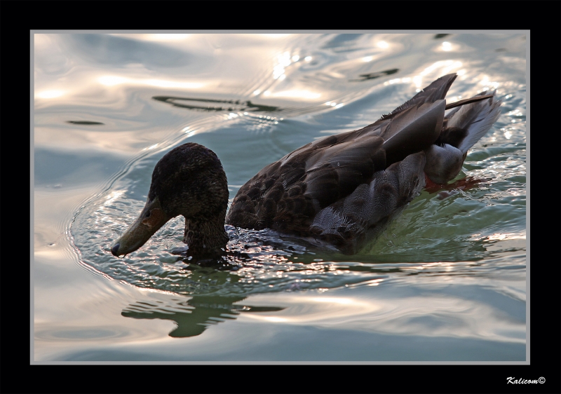 UN BAITO REFRESCANTE AL ATARDECER