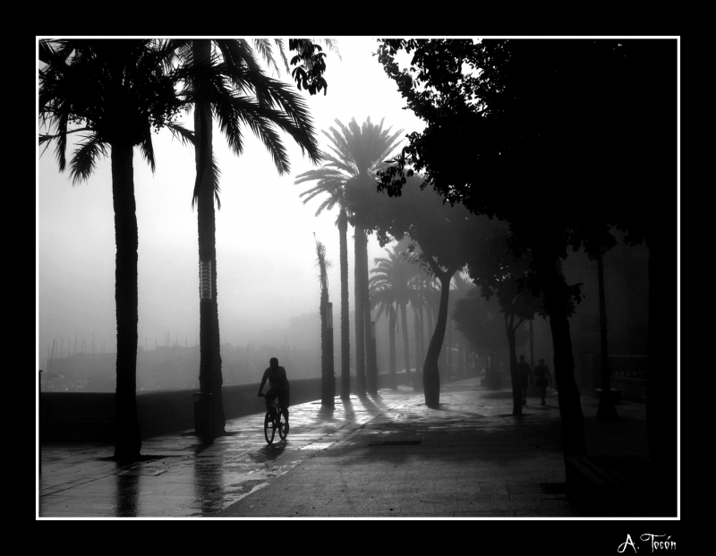 Ciclista en la niebla