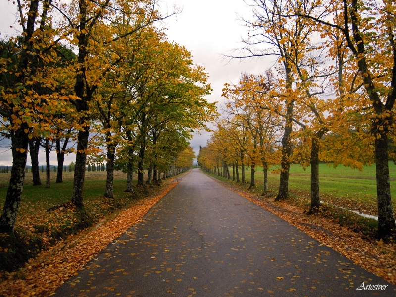 carretera