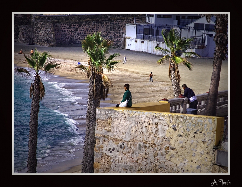 Mirando al mar