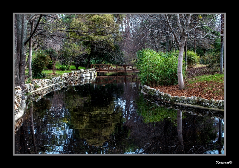 EL JARDN EN INVIERNO