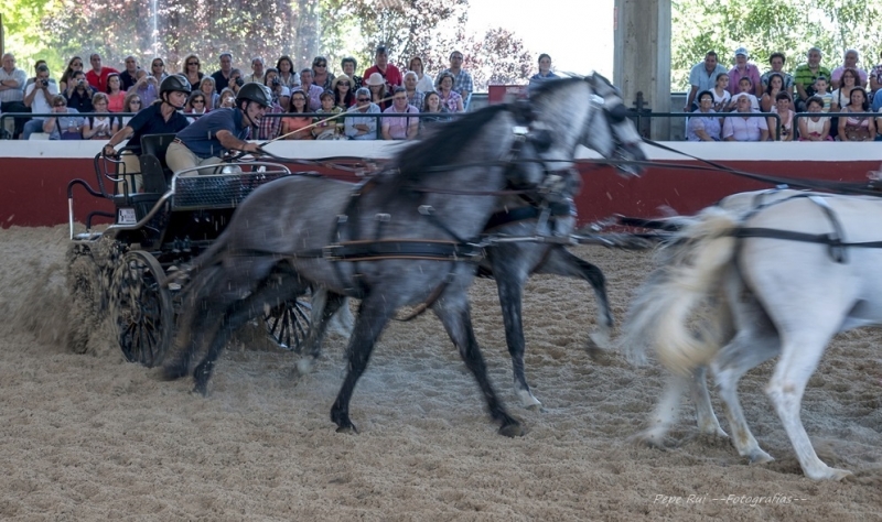 movimiento