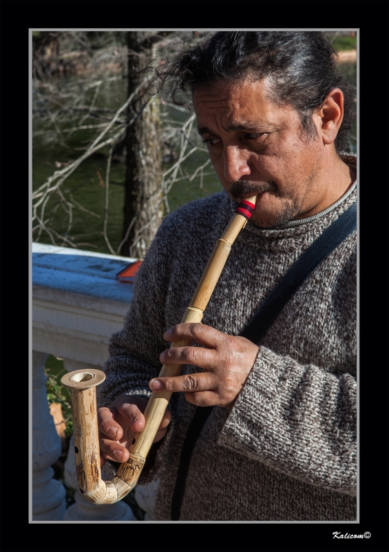 LUTHIER ANDINO