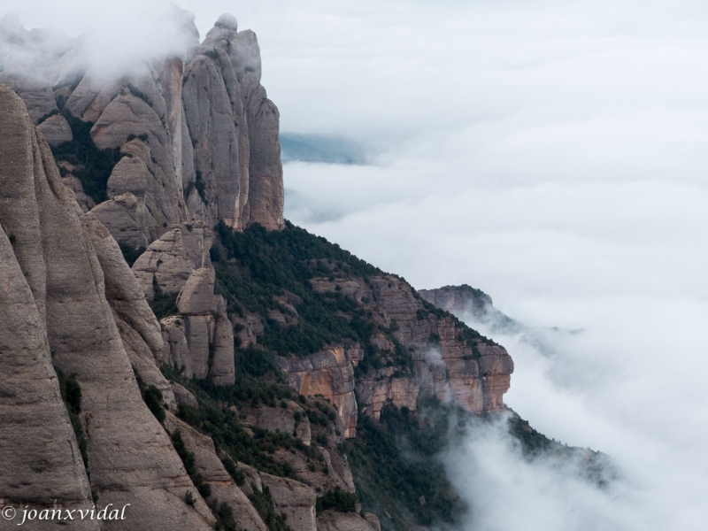 el paso de la niebla