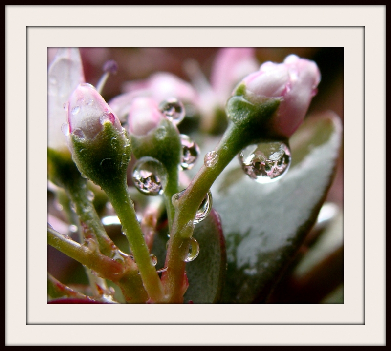 Gotas de lluvia