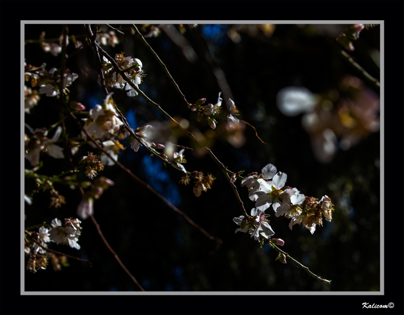 AL SOL DE INVIERNO