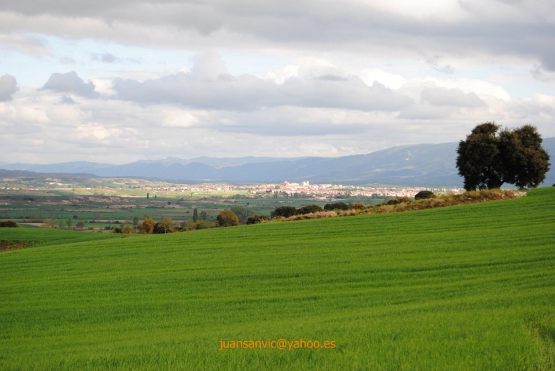 Oteando el horizonte