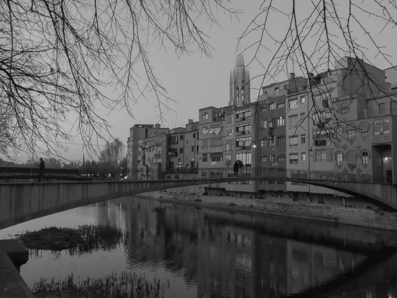 Pont peixeteries velles