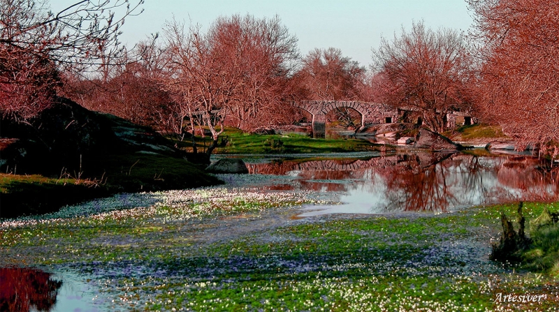 puente de moralita