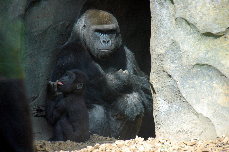 En familia