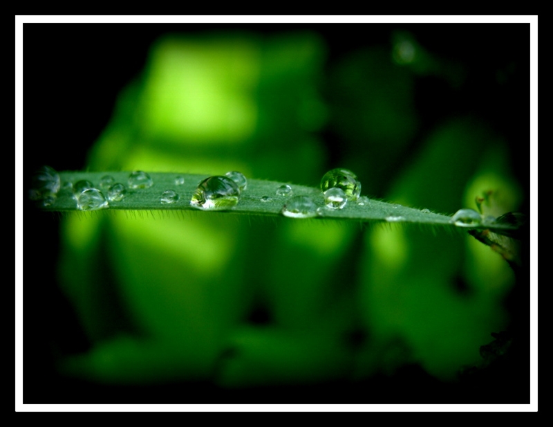 gotas de lluvia