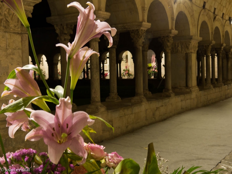 claustro Catedral