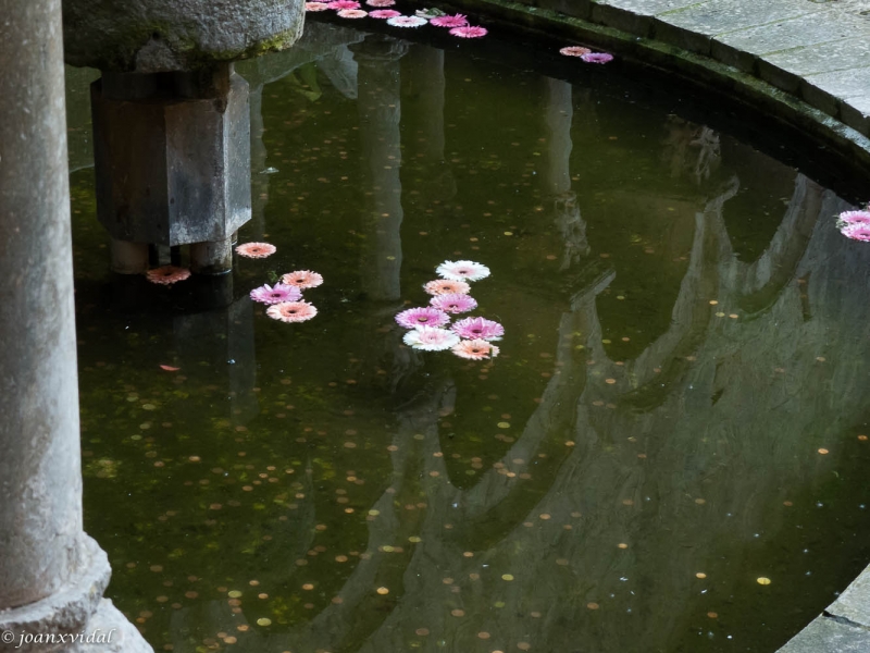 fuente del claustro