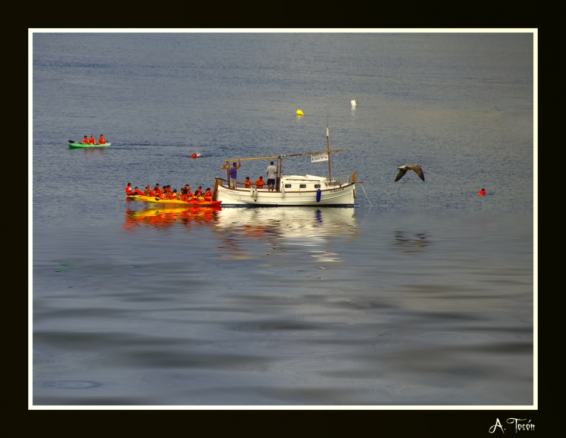 Disfrutando del mar