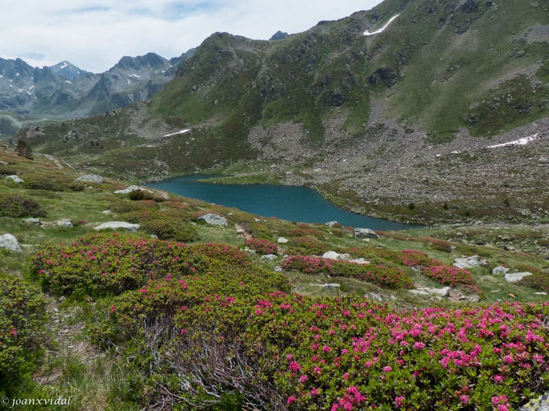 Estany del mig