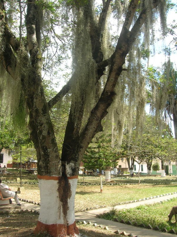 PARQUE CURITI