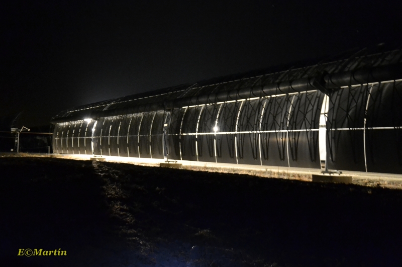 Campo solar, de noche