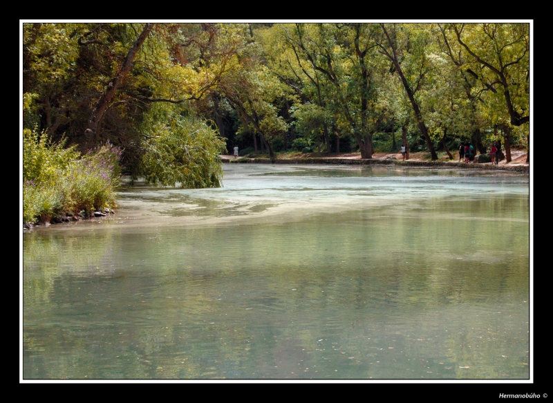 Paseo junto al estanque