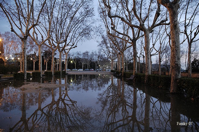 Reflejos