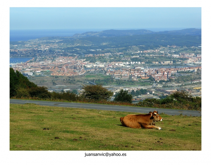 Placentera quietud