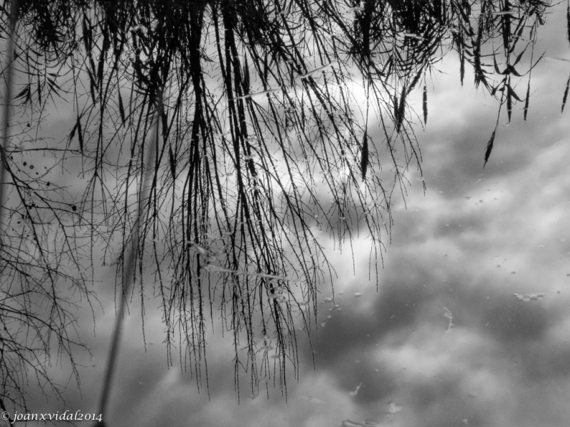 reflejos hivernales