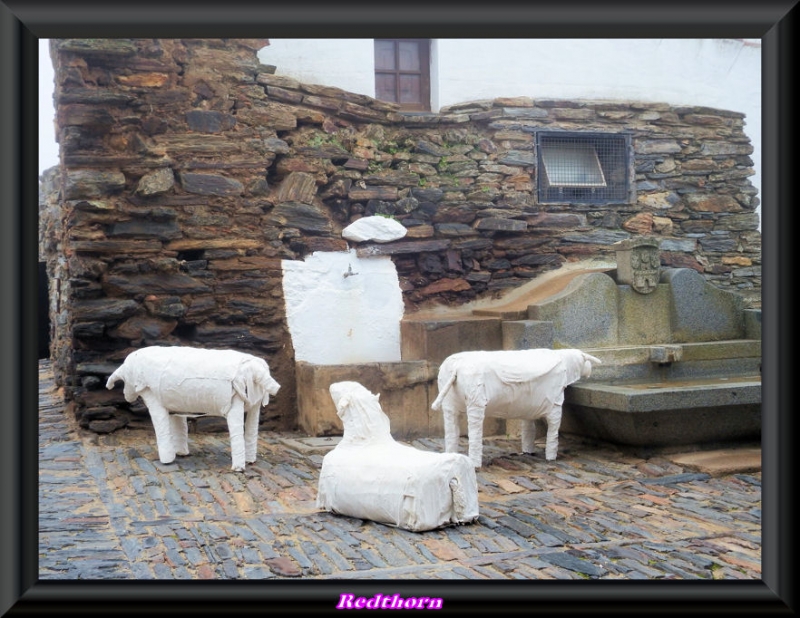 Las ovejas en el abrevadero