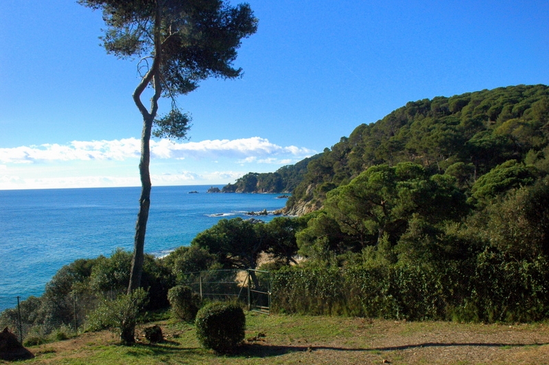 Jardines de Santa Clotilde 2 