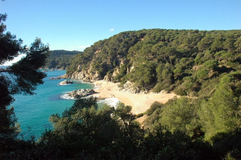 Jardines de santa Clotilde 3 